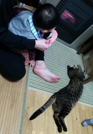 f:id:nekonohanashi:20171205103523j:image
