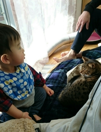 f:id:nekonohanashi:20171205103617j:image