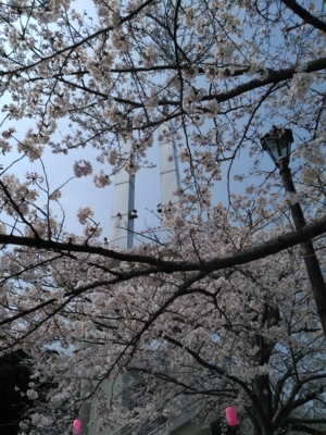 f:id:nekonohanashi:20180327110643j:image