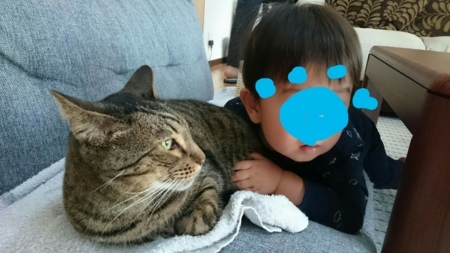 f:id:nekonohanashi:20180429075928j:image