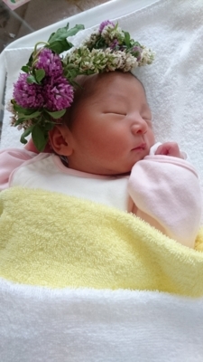 f:id:nekonohanashi:20180710204401j:image