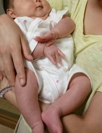 f:id:nekonohanashi:20180813045504j:image