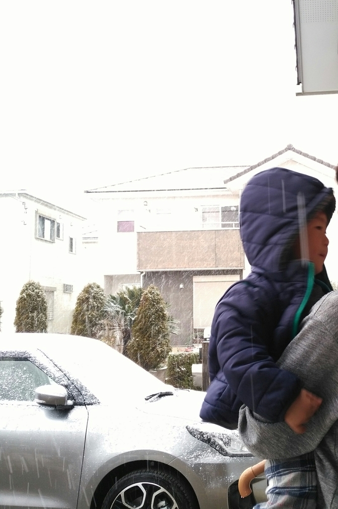 f:id:nekonohanashi:20190209083938j:plain