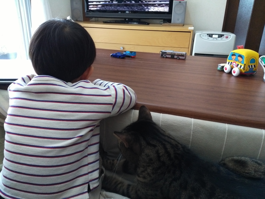 f:id:nekonohanashi:20190210090916j:plain
