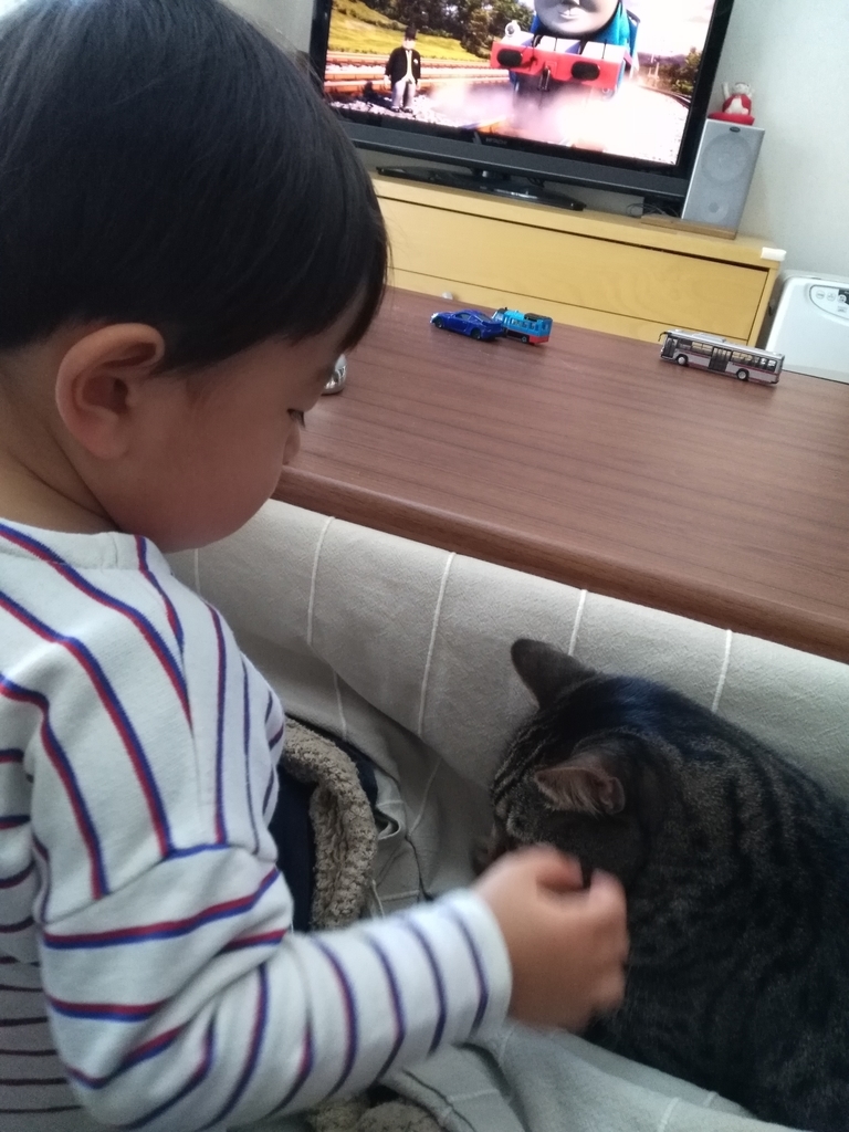 f:id:nekonohanashi:20190210091014j:plain