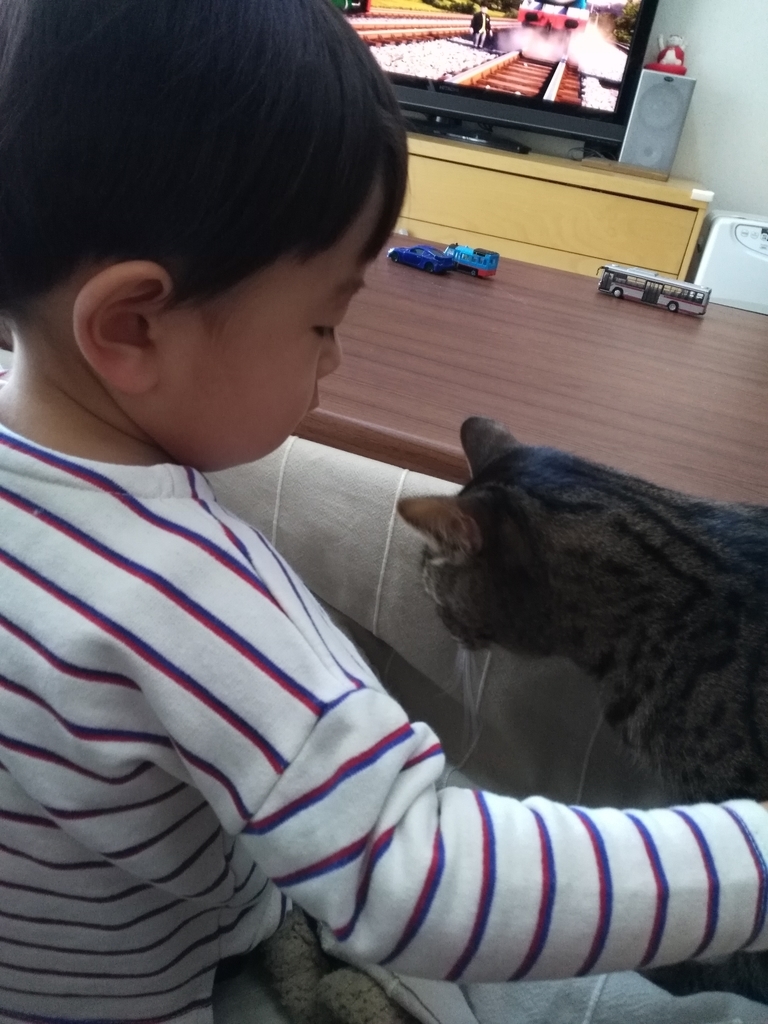 f:id:nekonohanashi:20190210091020j:plain