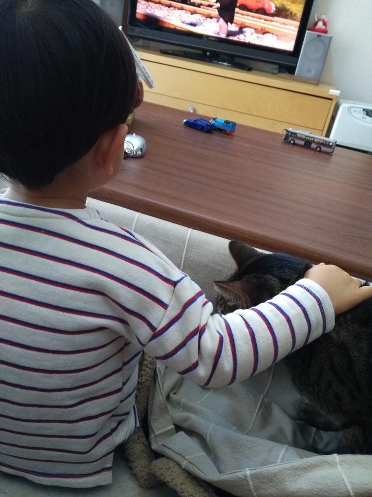 f:id:nekonohanashi:20190210091024j:plain