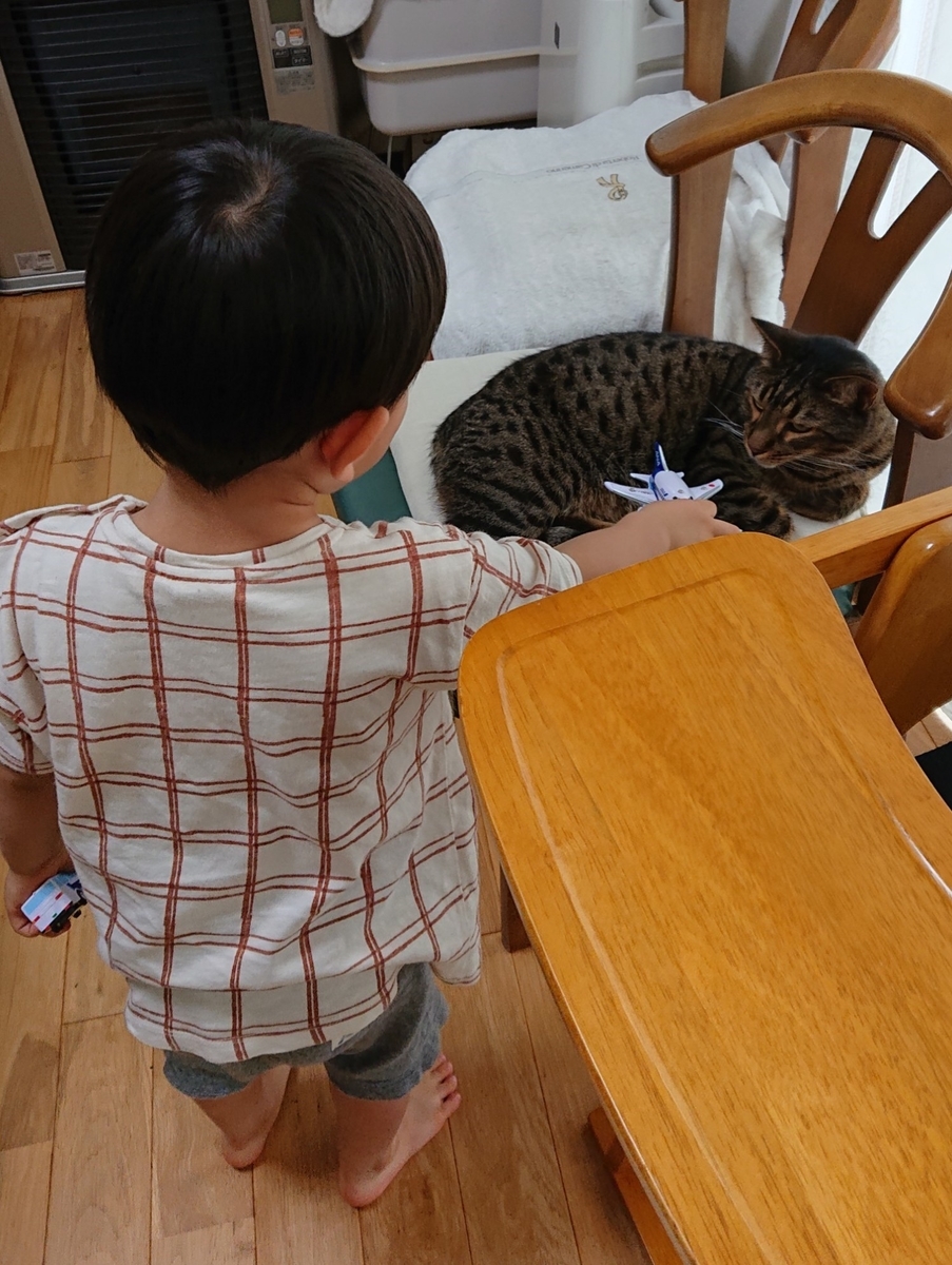 f:id:nekonohanashi:20190721195034j:plain:w350