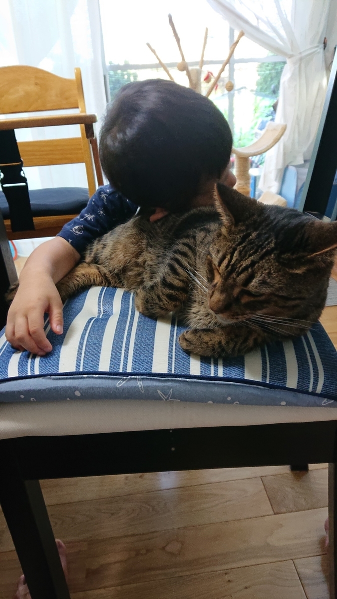 f:id:nekonohanashi:20190803152246j:plain:w350