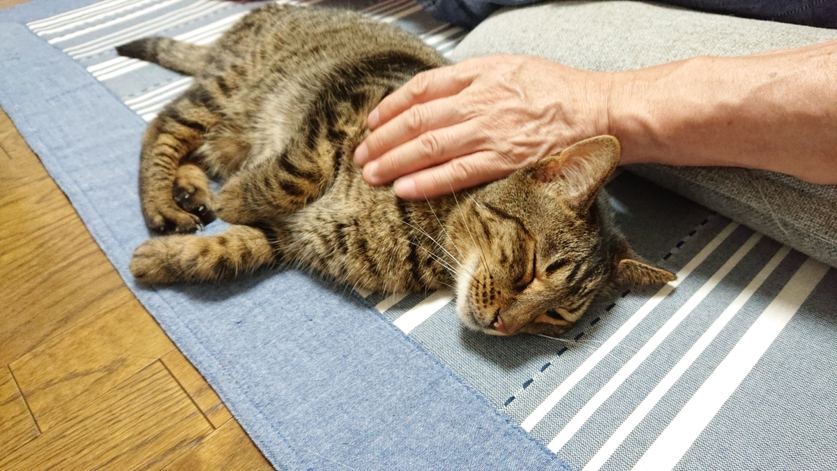 f:id:nekonohanashi:20190810190656j:plain:w350