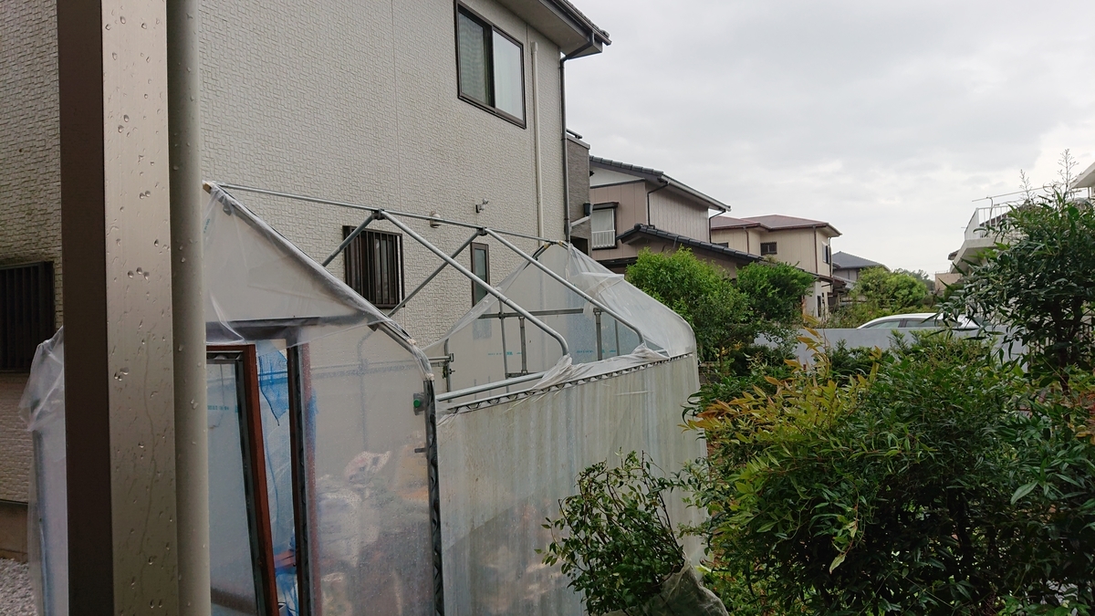 f:id:nekonohanashi:20190909082056j:plain:w350