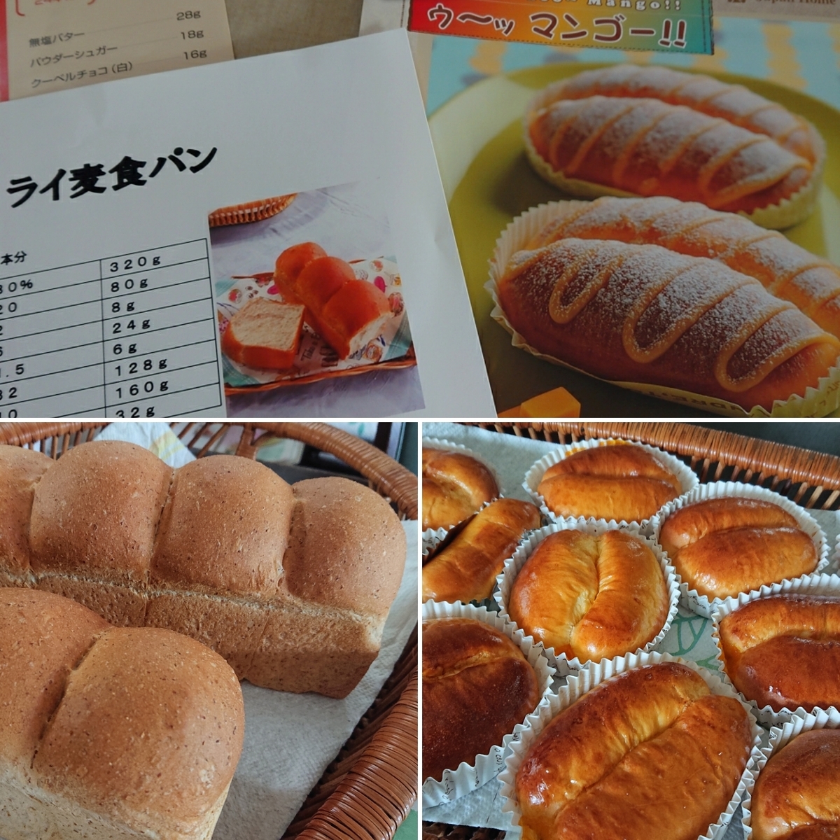 f:id:nekonohanashi:20190912212812j:plain:w350