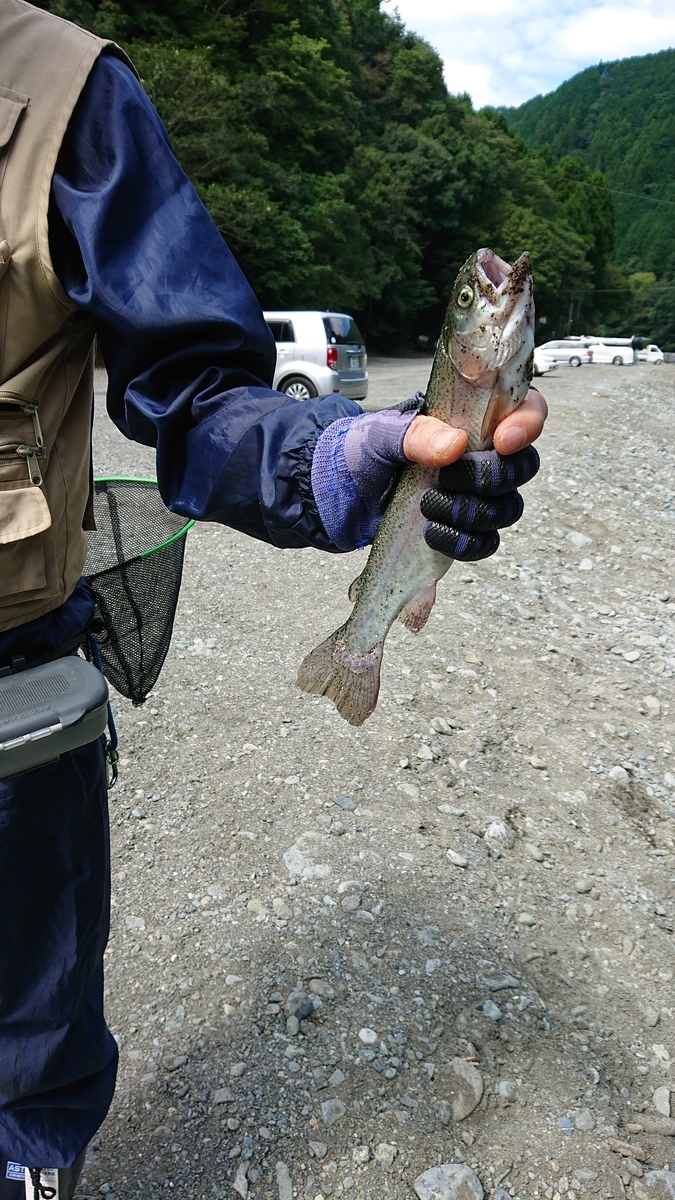 f:id:nekonohanashi:20190917104919j:plain:w300