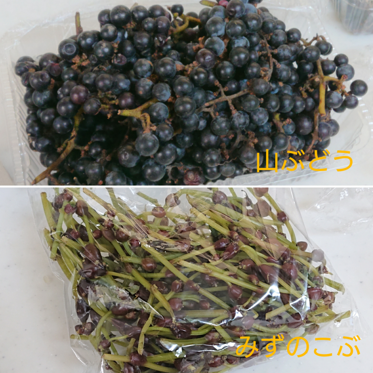 f:id:nekonohanashi:20190926231800p:plain:w350