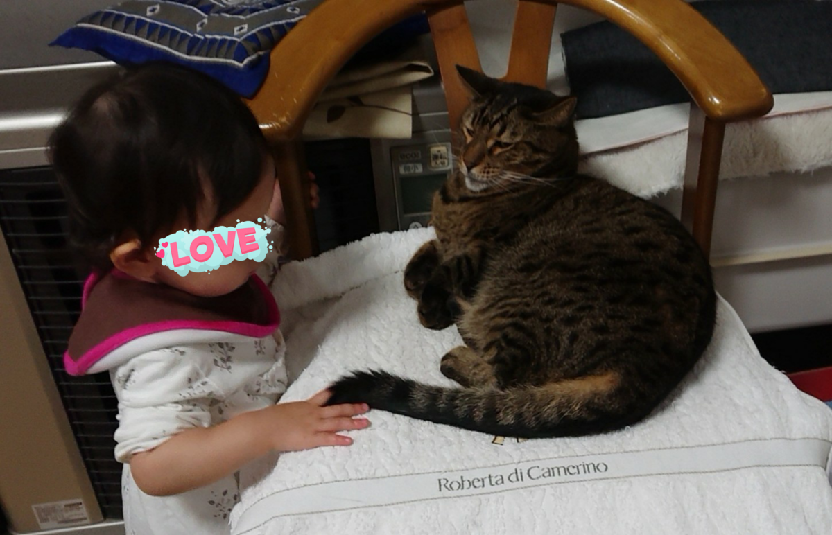 f:id:nekonohanashi:20191104223547p:plain:w350