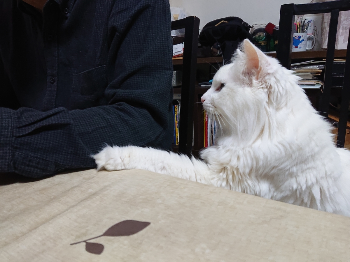 f:id:nekonohanashi:20191218063944j:plain:w350