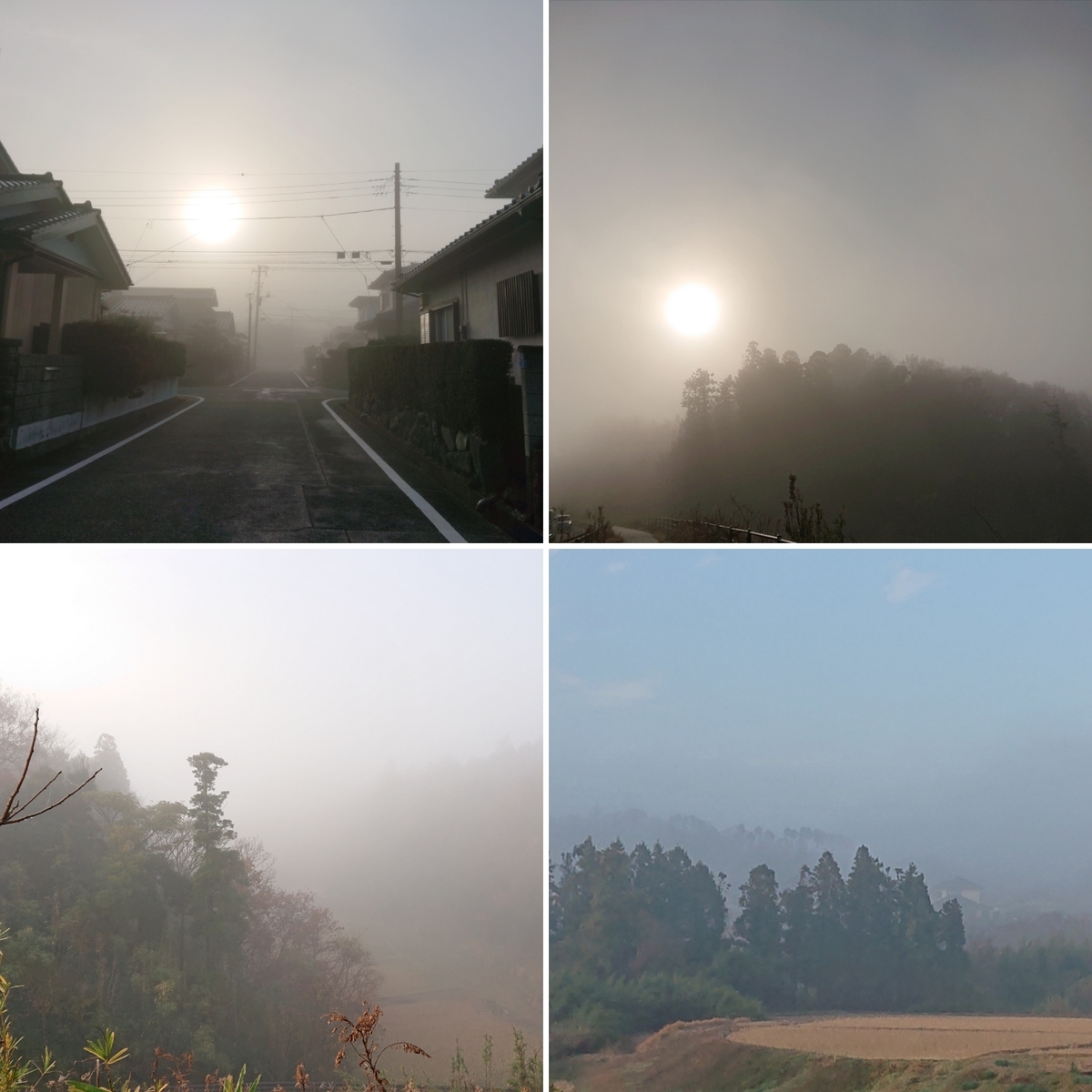 f:id:nekonohanashi:20191218093829j:plain:w350