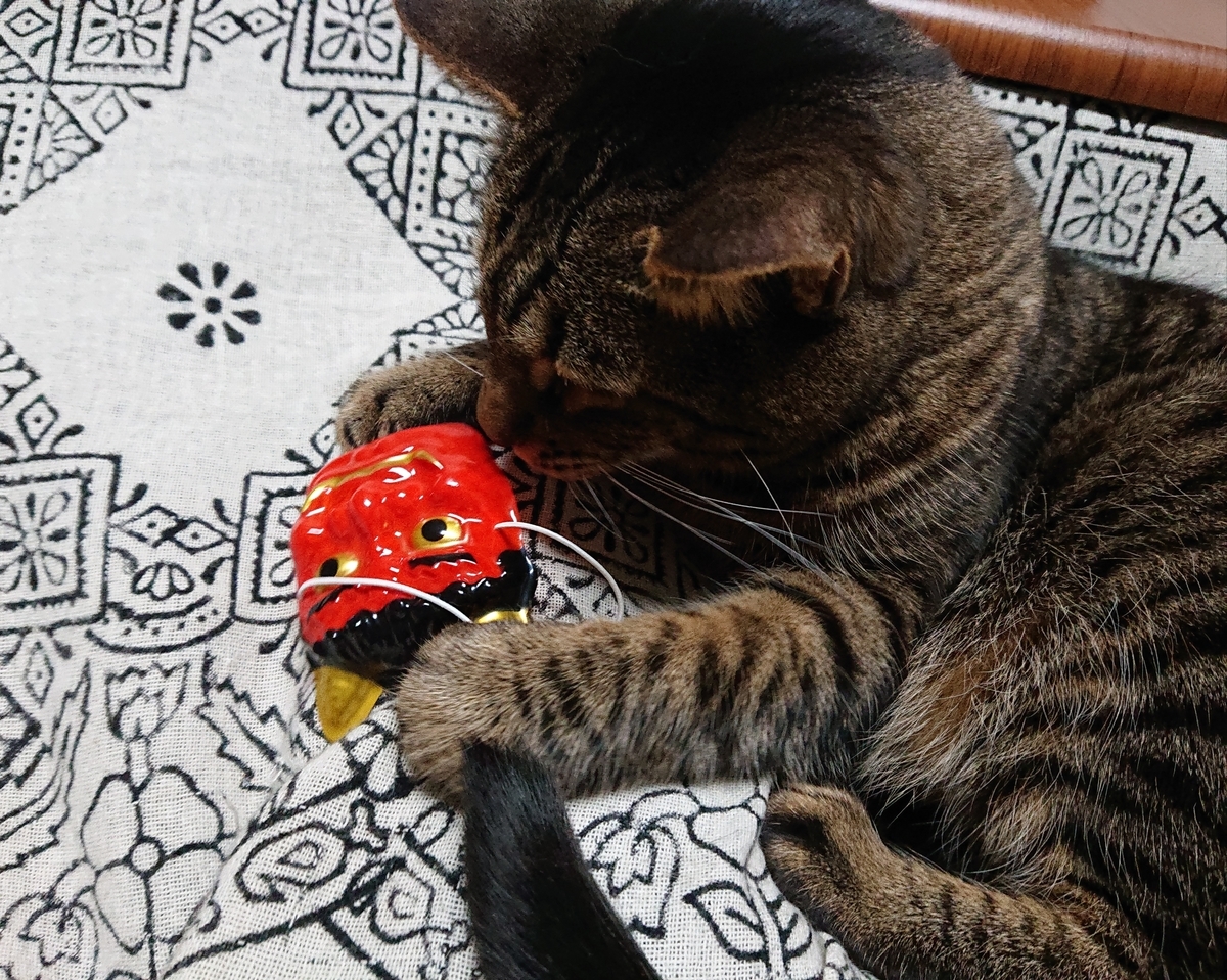 f:id:nekonohanashi:20200203204733j:plain:w350