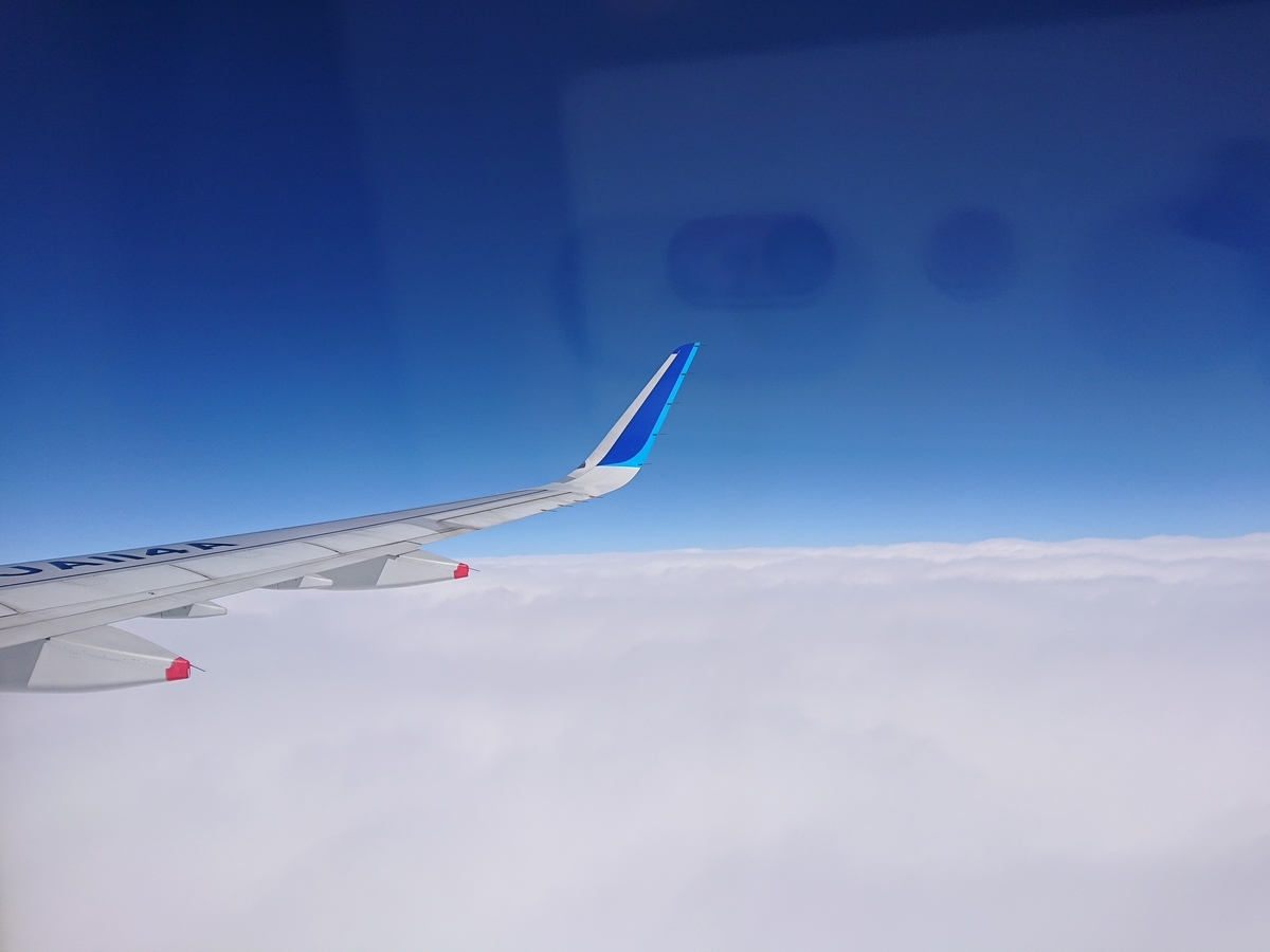 f:id:nekonohanashi:20200316154736j:plain:w350