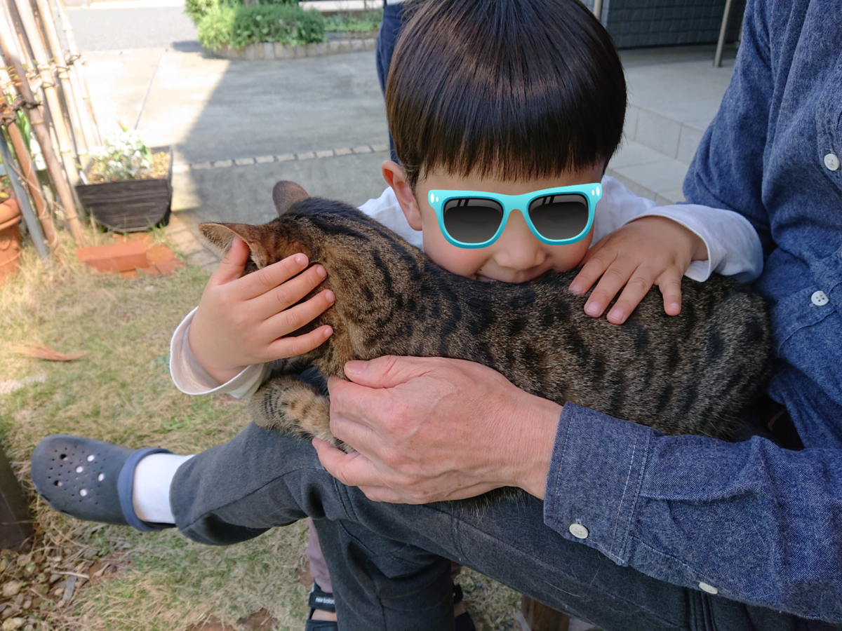 f:id:nekonohanashi:20200507103305p:plain:w350