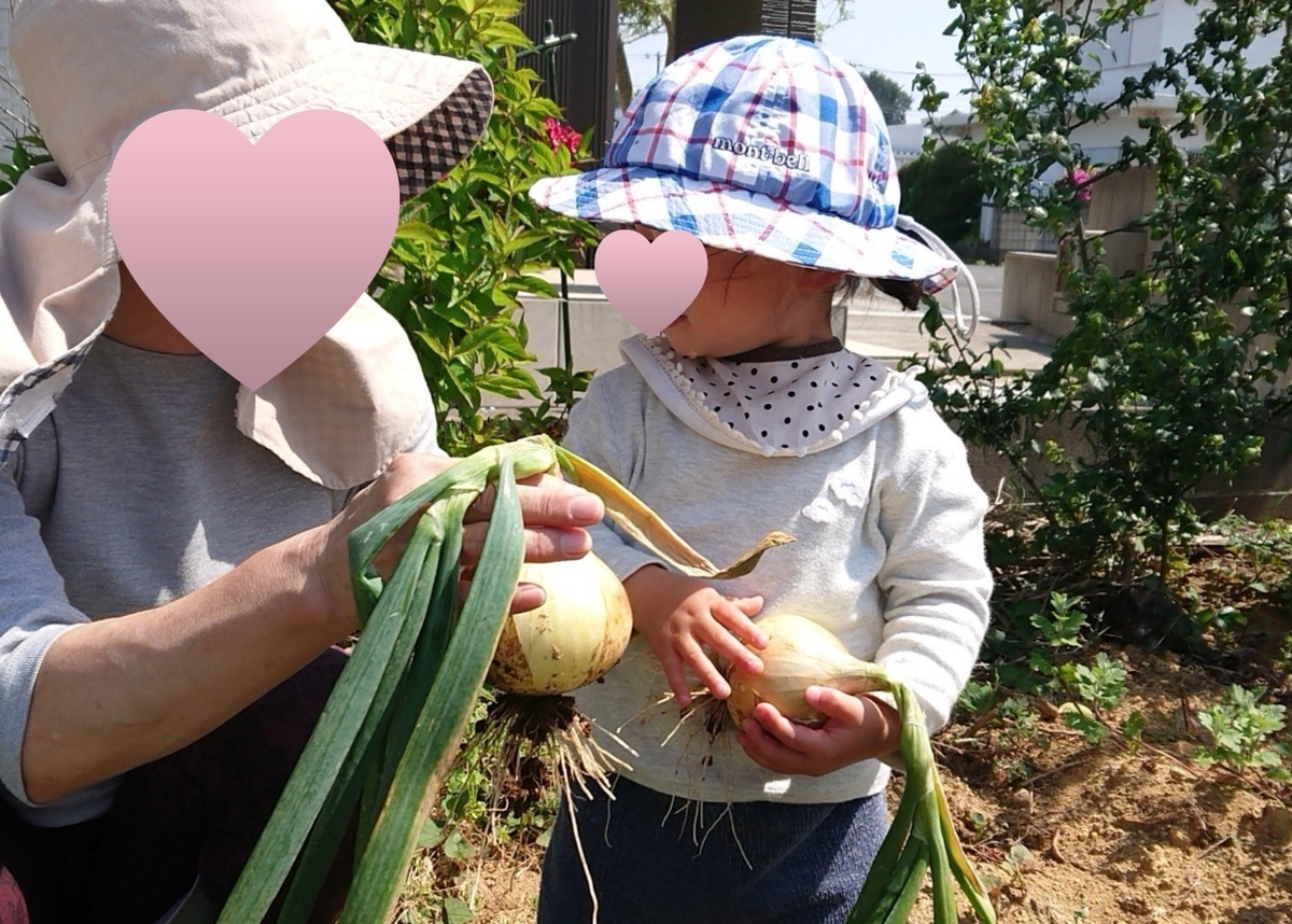 f:id:nekonohanashi:20200507104106j:plain:w350