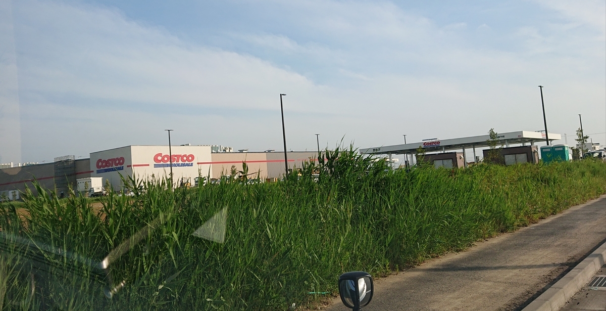 f:id:nekonohanashi:20200609224420j:plain:w350