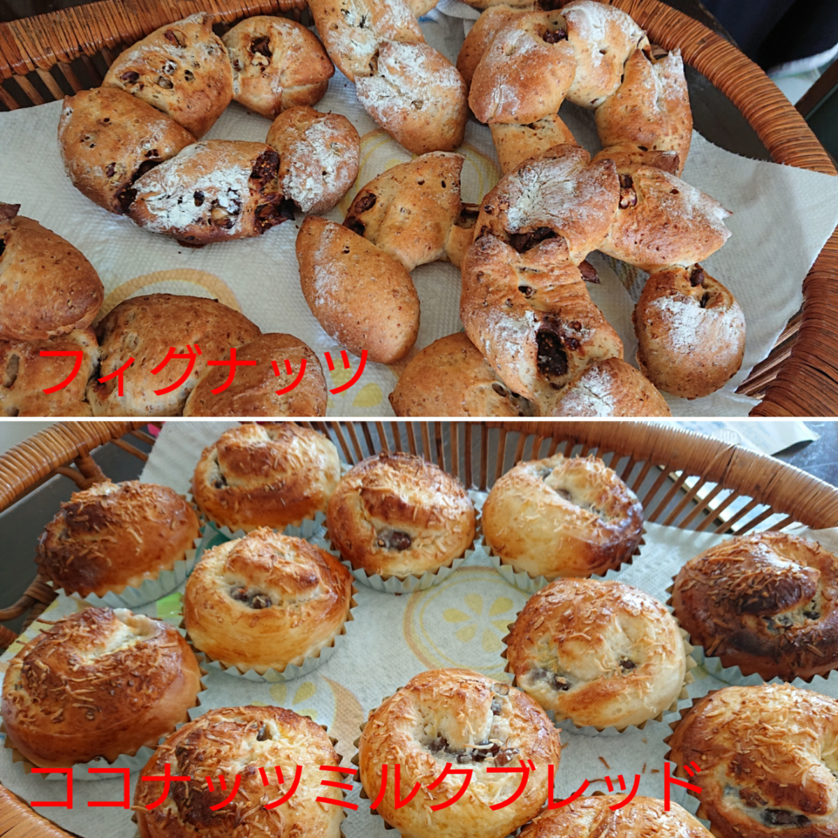 f:id:nekonohanashi:20200612094117p:plain:w350