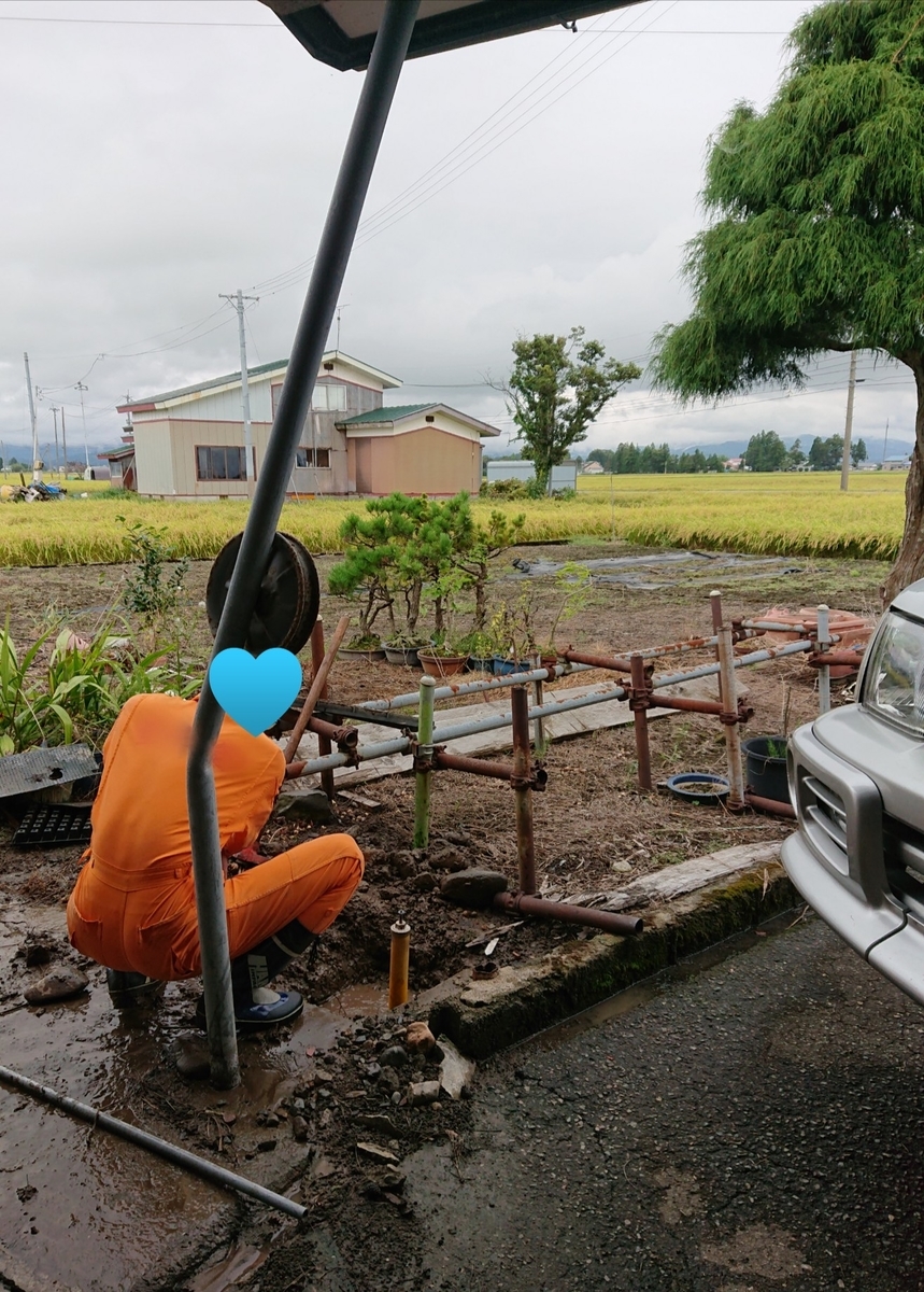 f:id:nekonohanashi:20200921222121j:plain:w250