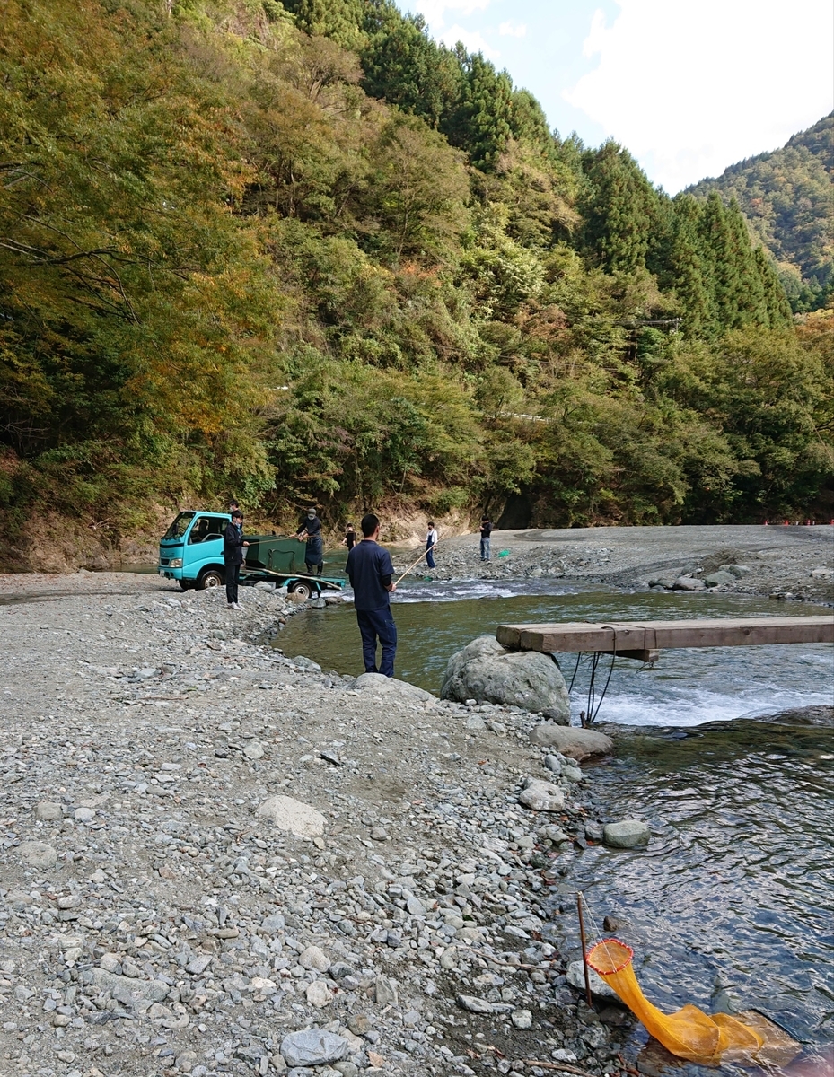 f:id:nekonohanashi:20201102232320j:plain:w250
