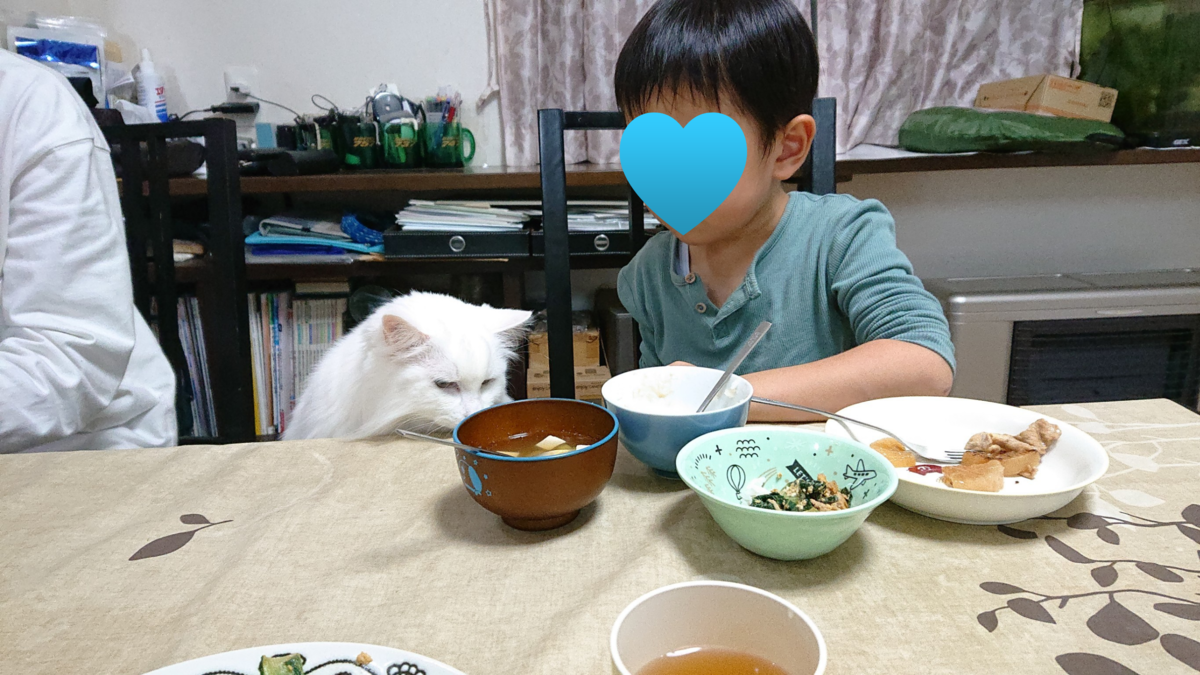 f:id:nekonohanashi:20201124004504p:plain:w350