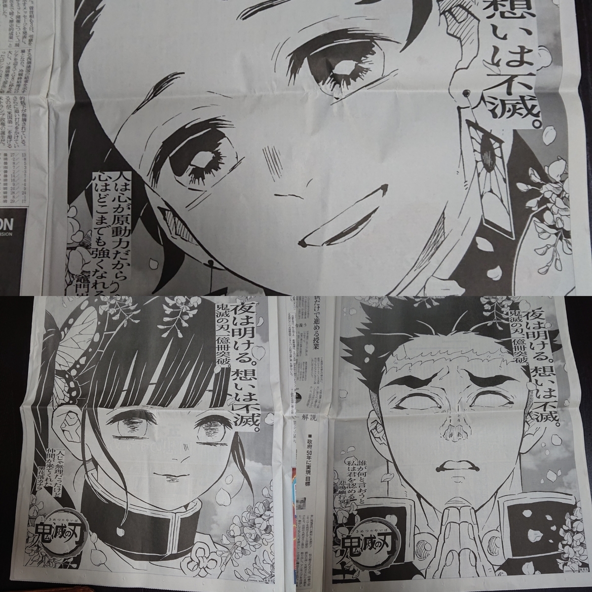 f:id:nekonohanashi:20201204224127j:plain:w250