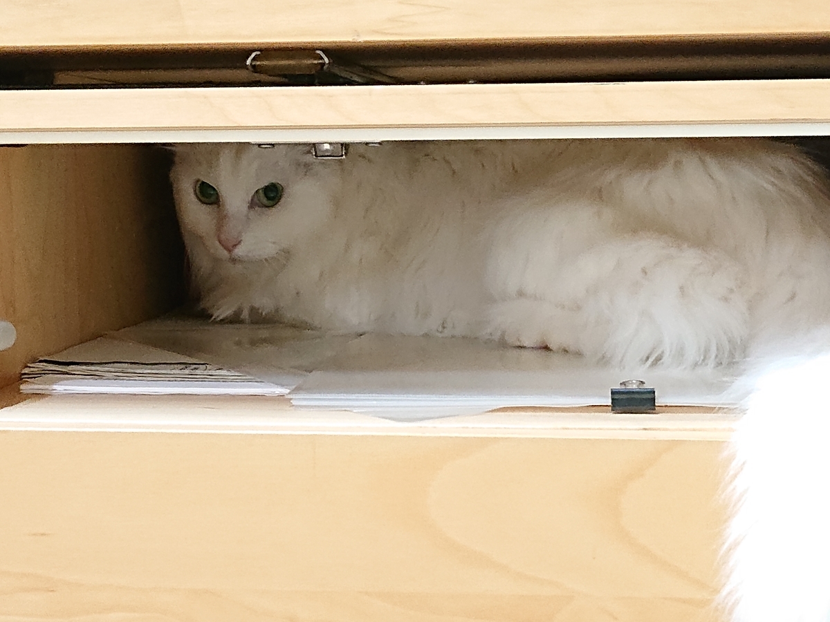 f:id:nekonohanashi:20210109165935j:plain:w350