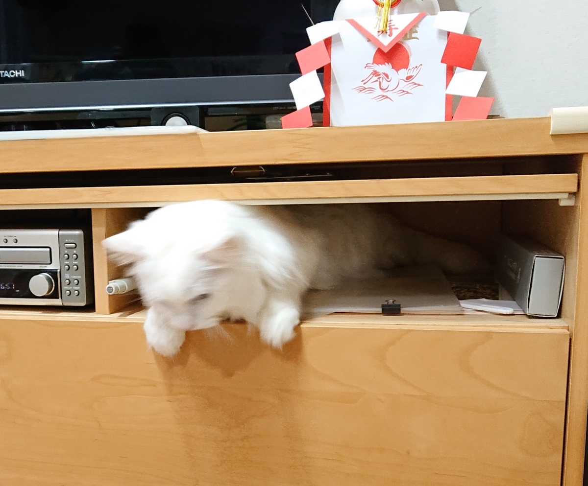 f:id:nekonohanashi:20210109185739j:plain:w350