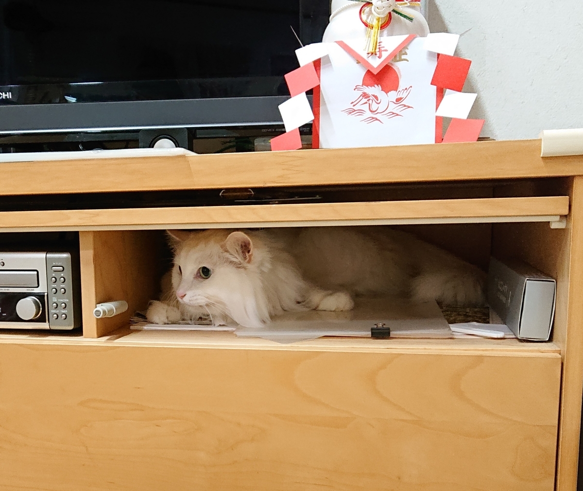 f:id:nekonohanashi:20210109185817j:plain:w350