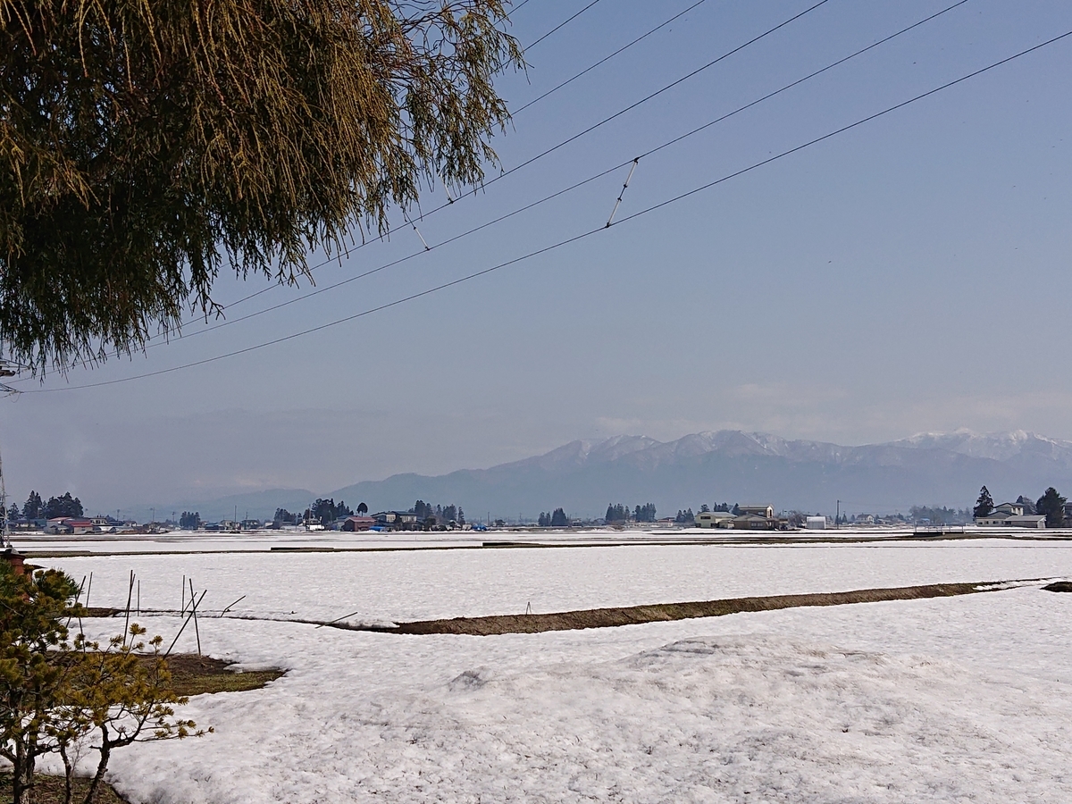 f:id:nekonohanashi:20210324095043j:plain:w350
