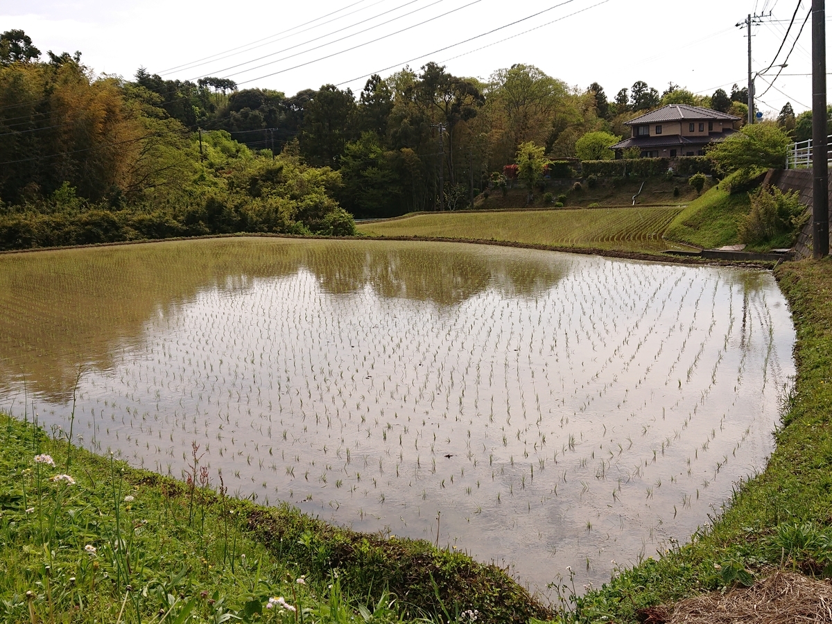 f:id:nekonohanashi:20210415135832j:plain:w350