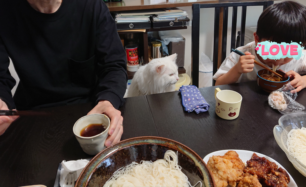 f:id:nekonohanashi:20210531062058p:plain:w350