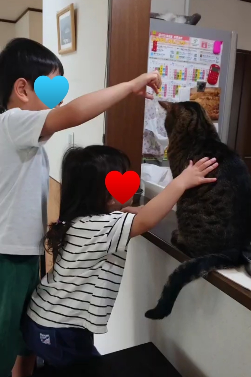 f:id:nekonohanashi:20210613220259j:plain:w350