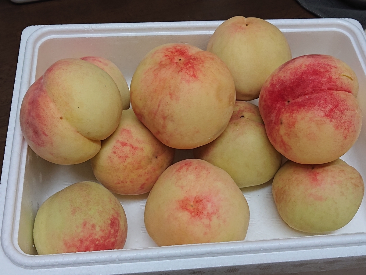 f:id:nekonohanashi:20210710060417j:plain:w350
