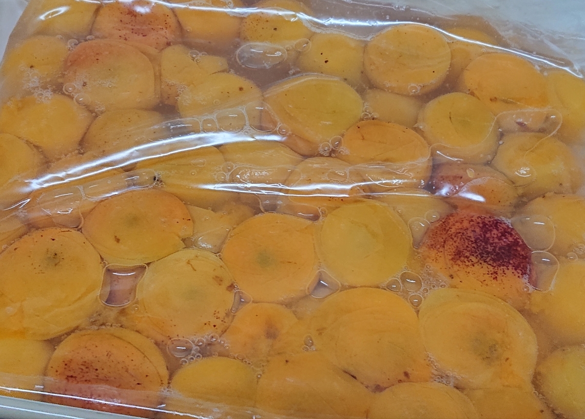 f:id:nekonohanashi:20210710192313j:plain:w350