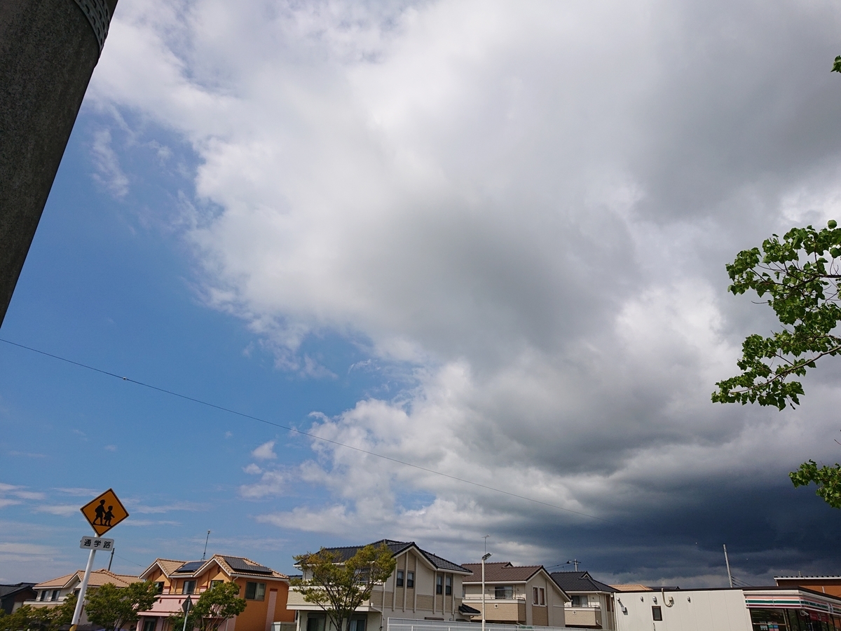 f:id:nekonohanashi:20210723142315j:plain:w350