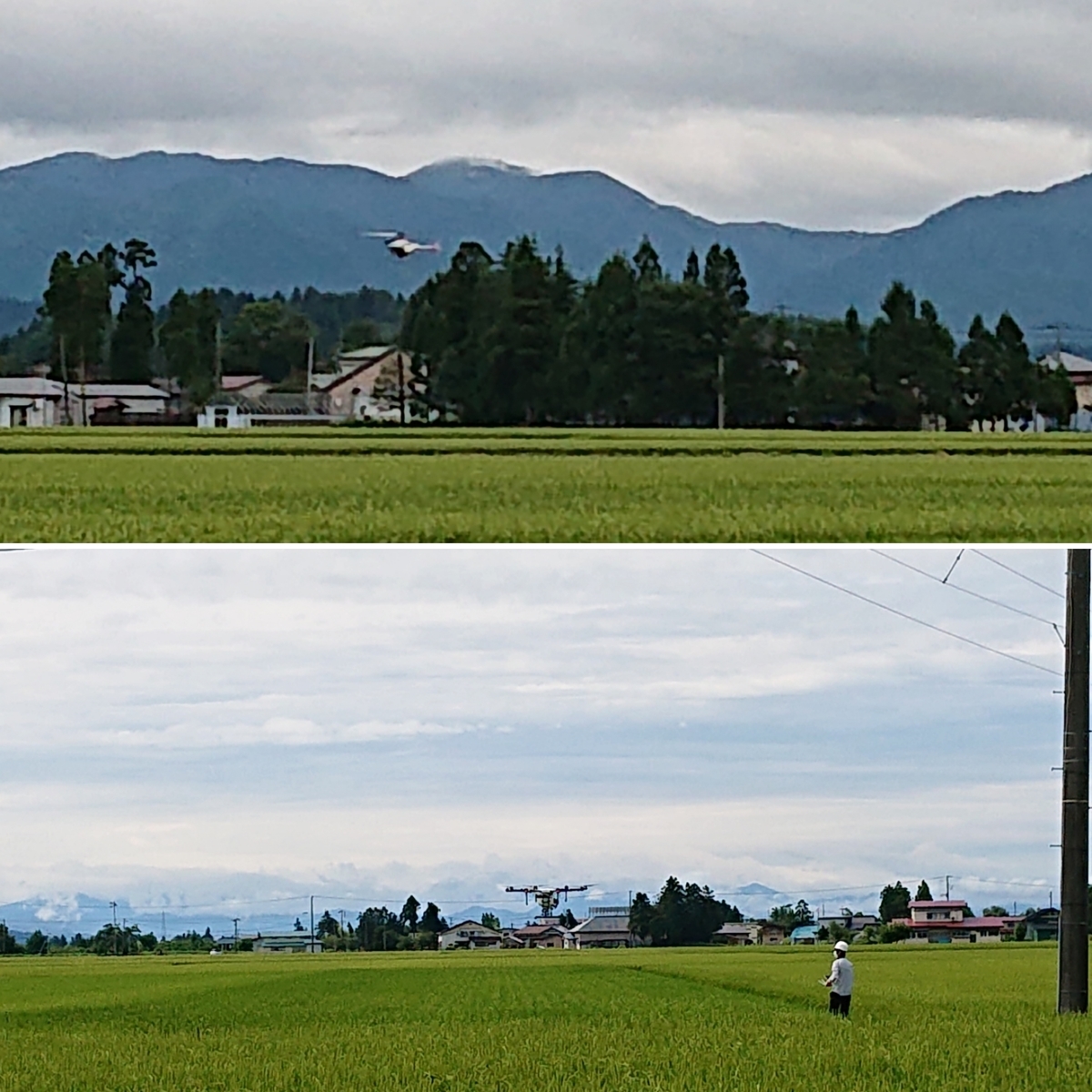 f:id:nekonohanashi:20210814163328j:plain:w350
