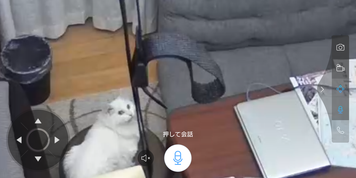 f:id:nekonohanashi:20210814165911p:plain:w350