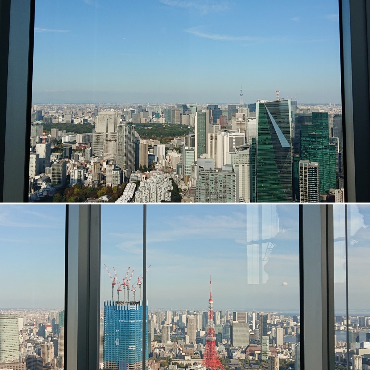 f:id:nekonohanashi:20211105151244j:plain:w350