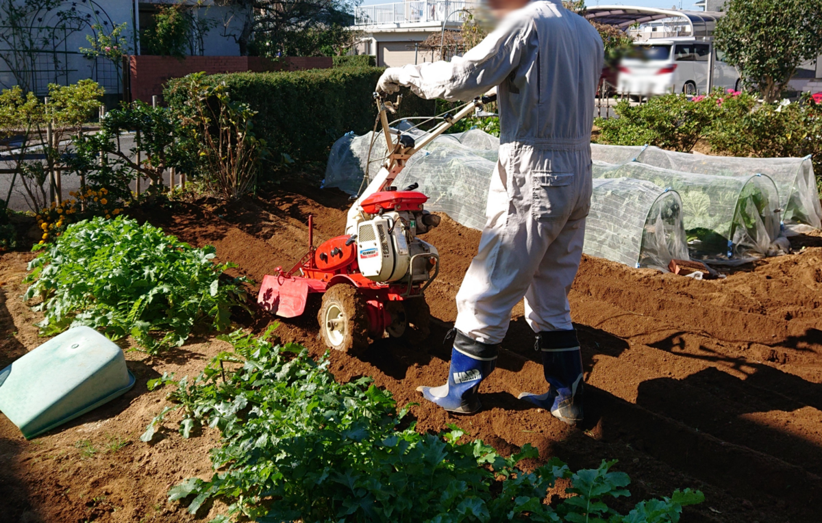 f:id:nekonohanashi:20211114090348p:plain:w450