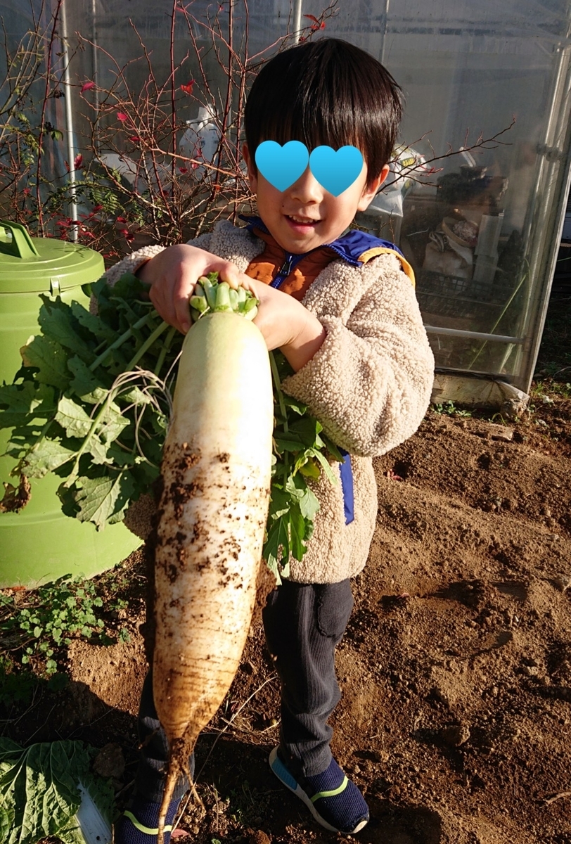 f:id:nekonohanashi:20211204152343j:plain:w450