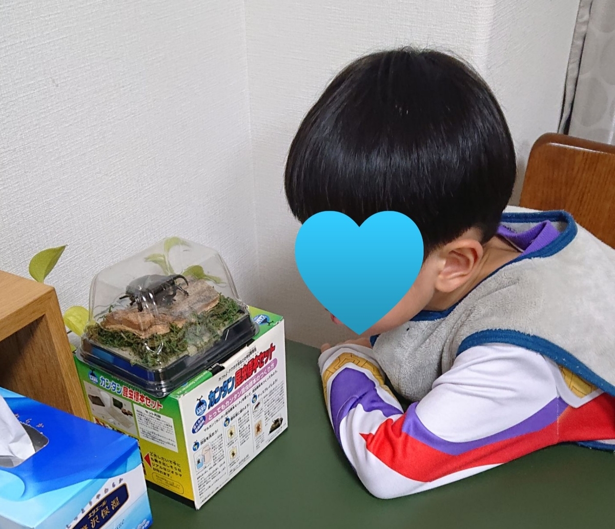 f:id:nekonohanashi:20211222205112j:plain:w350