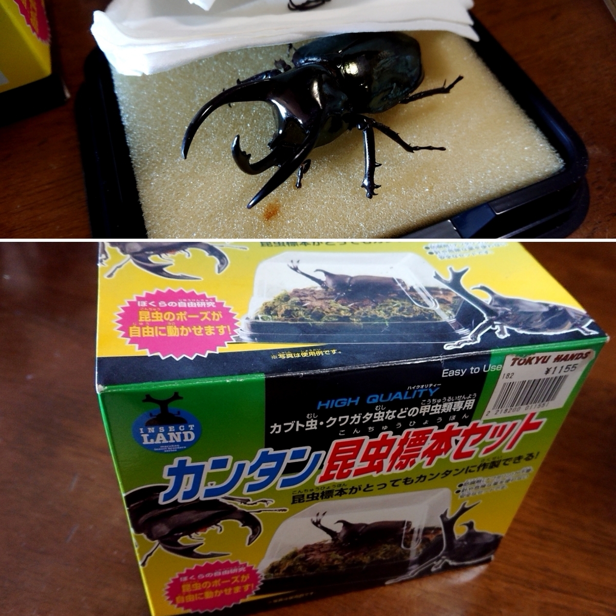f:id:nekonohanashi:20211222205143j:plain:w350