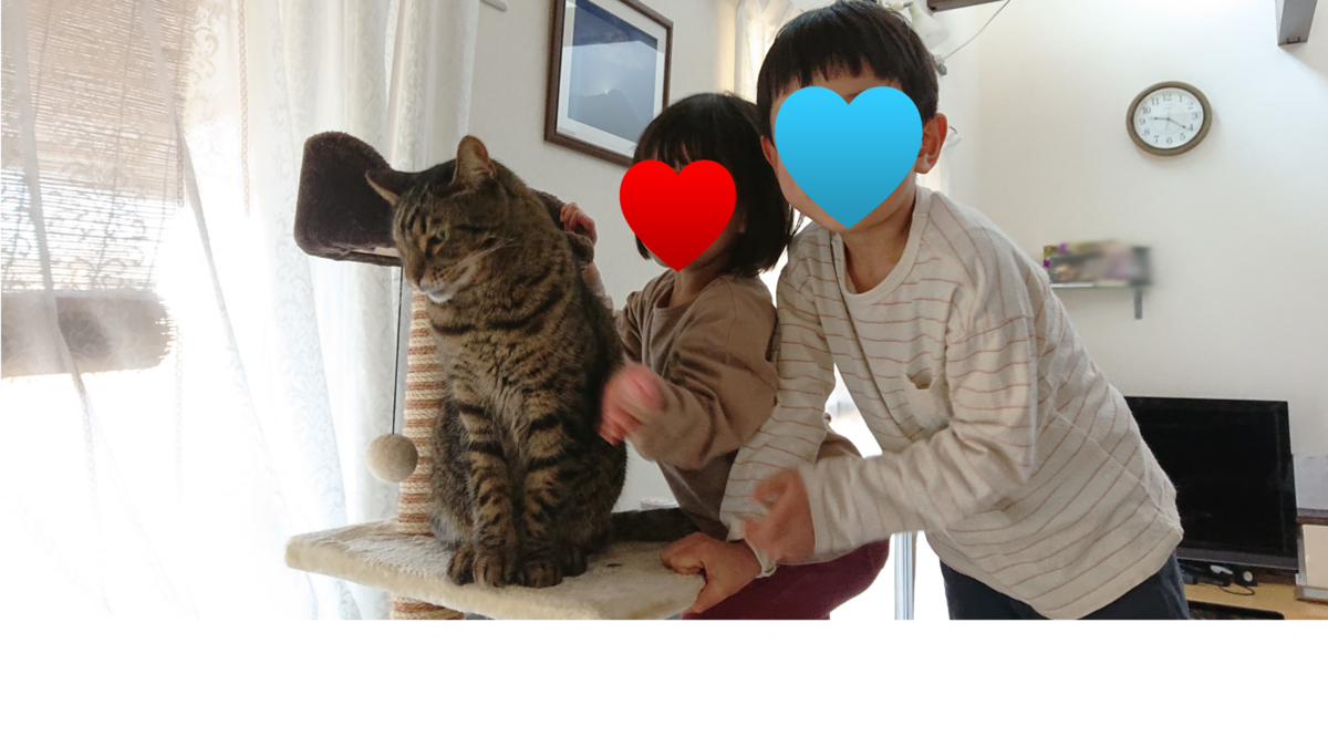 f:id:nekonohanashi:20211228204345p:plain:w480