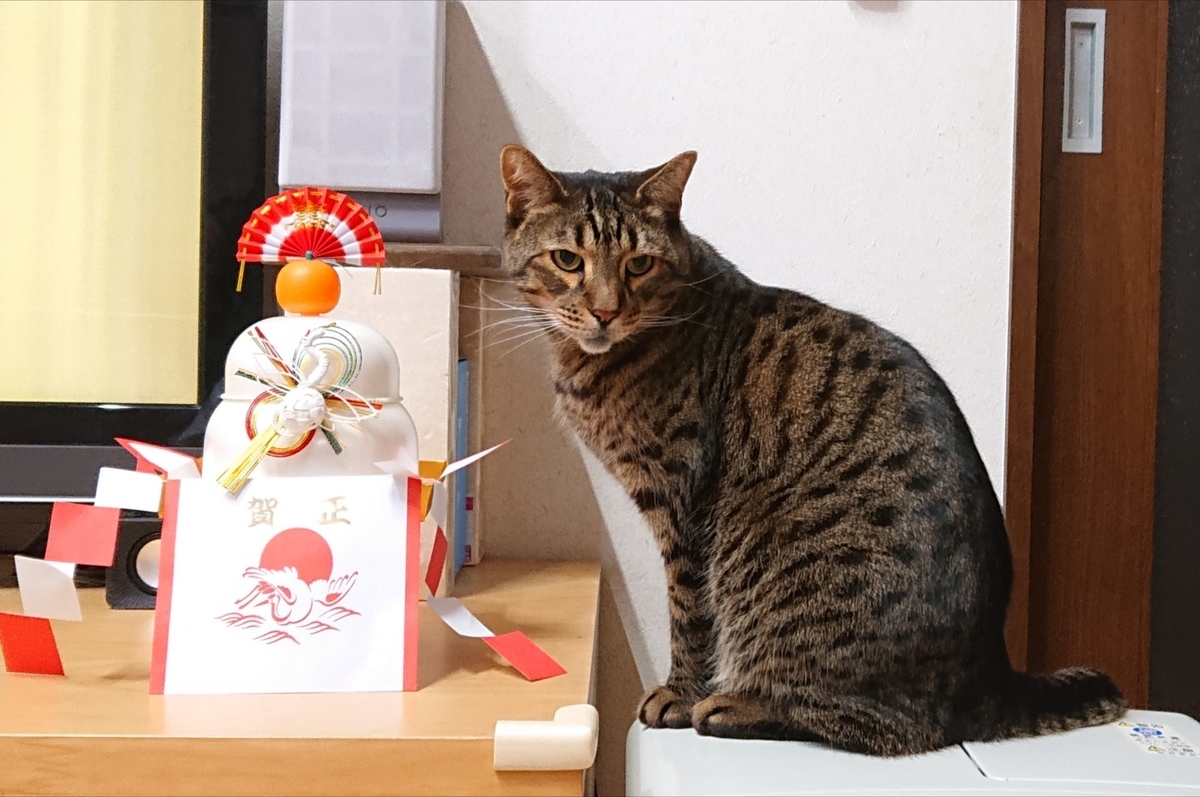 f:id:nekonohanashi:20220101225411j:plain:w480